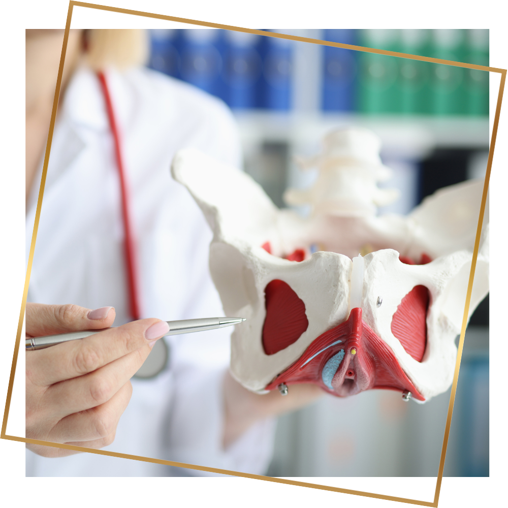 Ból w miednicy – jak fizjoterapia uroginekologiczna wspiera redukcję napięcia mięśni