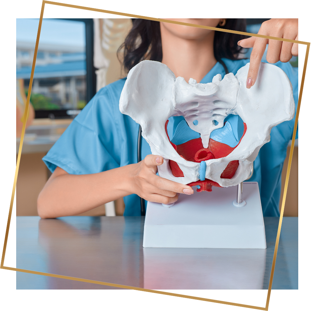 Problemy z miednicą – skuteczne metody fizjoterapii uroginekologicznej (3)